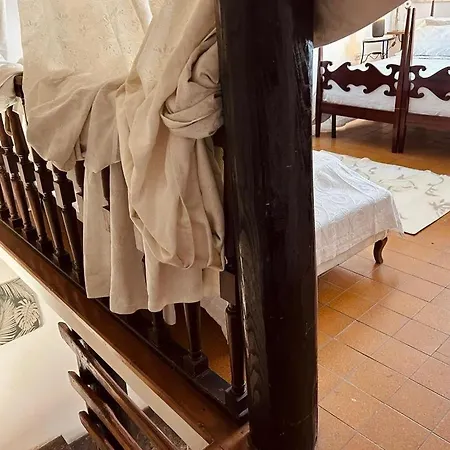 La Ripa Dell Artista Piansano